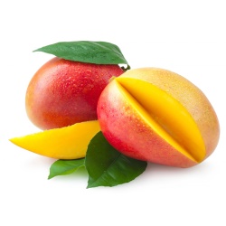 Mango_image