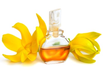 Ylang Ylang_1