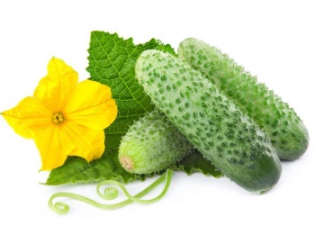 cucumber_image