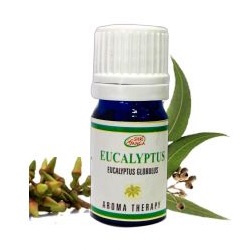 Масло эвкалипта Шри Ганга/5ml.