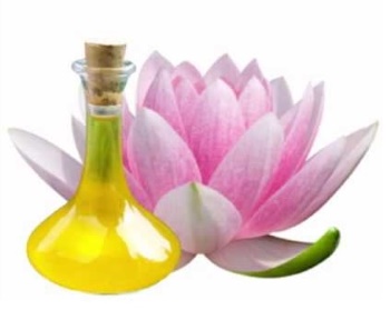 lotus oil