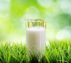 Glass of milk on nature background.