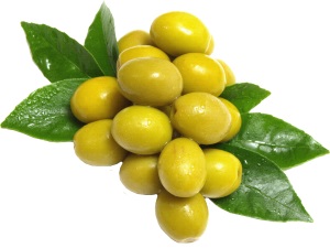 olive